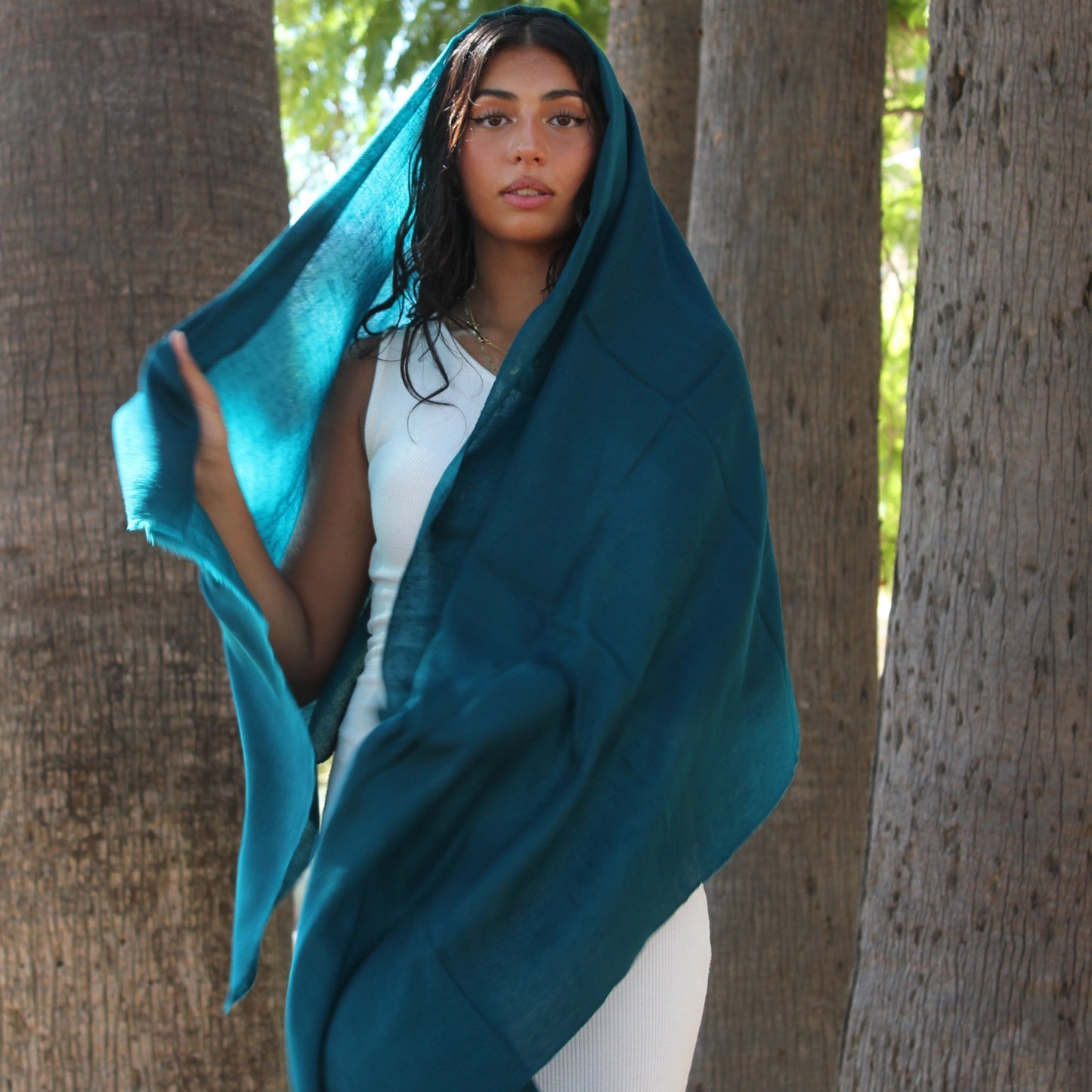 Pashmina - Azur Zoyacrafts